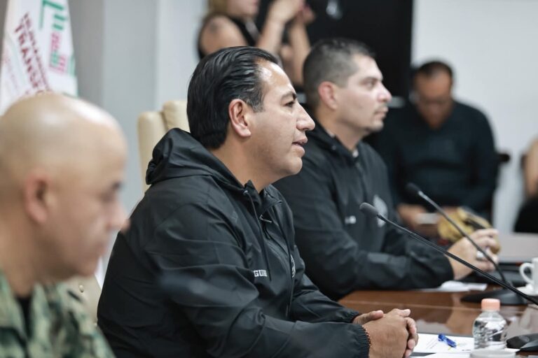 Democracia virtual/El rugido del Jaguar no ERA solo discurso