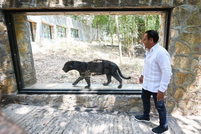 Eduardo Ramírez impulsa nueva etapa del ZOOMAT Centro de Conservación y Reserva Natural