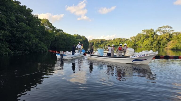 Gobierno de México intensifica acciones de contención y limpieza por presencia de hidrocarburo en Dos Bocas, Tabasco