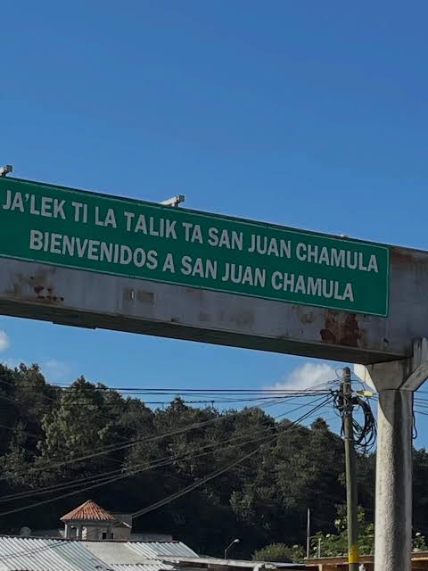 Democracia virtual / Ley o anarquía en Chamula